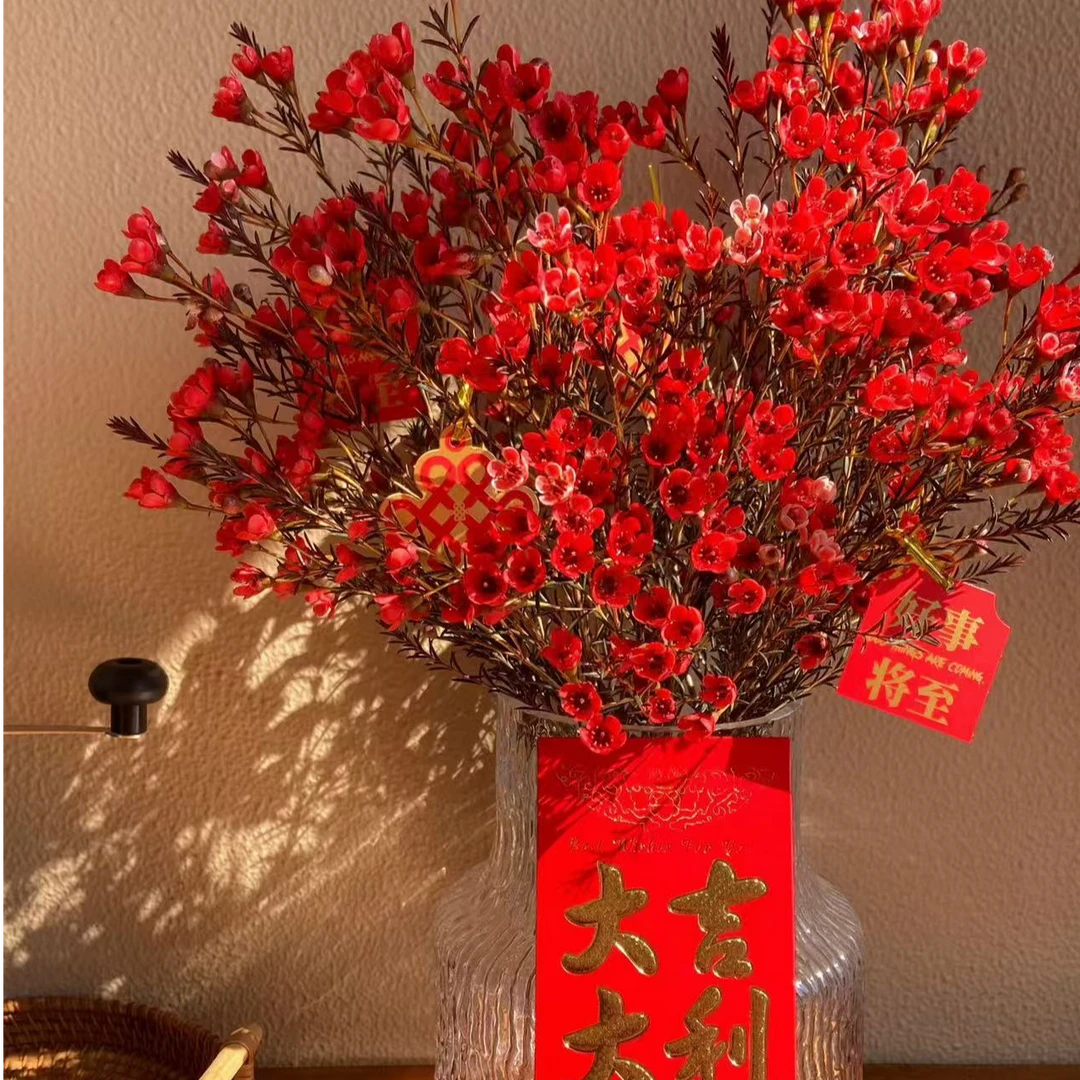 【六哥花卉】【红色腊梅】花期超长 全场任意满两单及以上鲜花包邮
