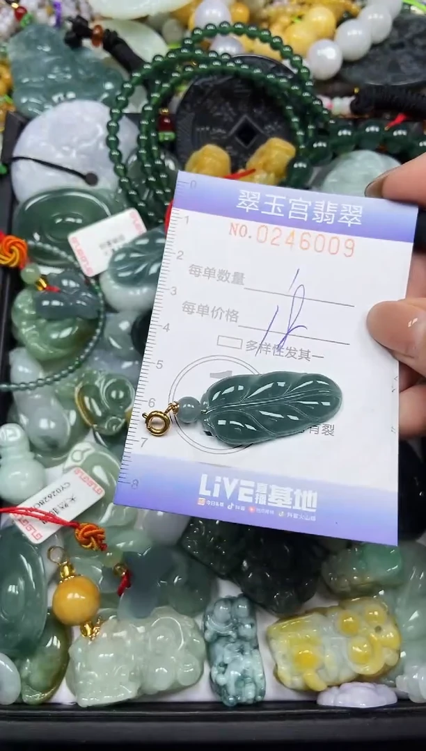 颈饰未镶嵌翡翠闪购C0246009