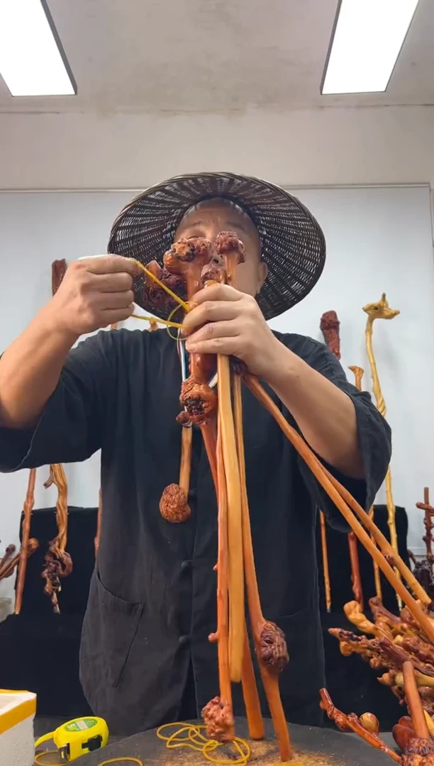黑果木其他黑果木290