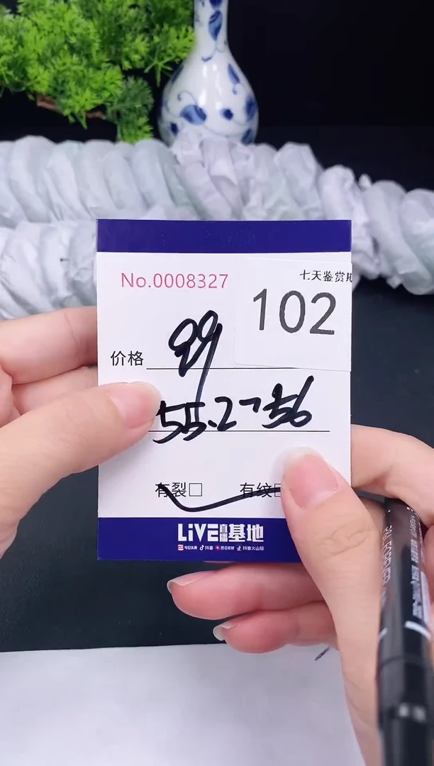 未镶嵌手镯翡翠102