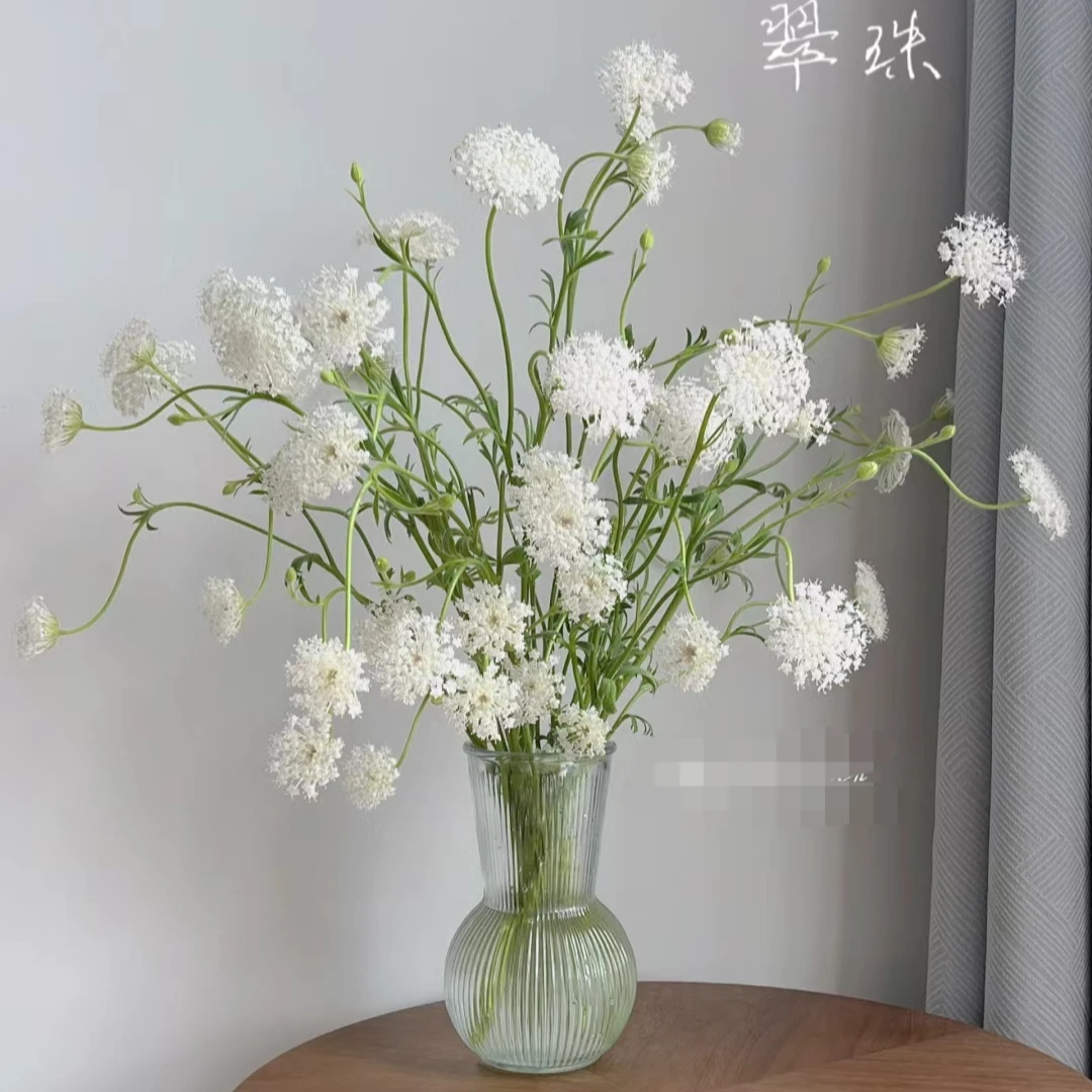 翠珠粉白蓝色飞舞的蝴蝶精灵水养鲜切花送礼花束云南直发顺丰包邮