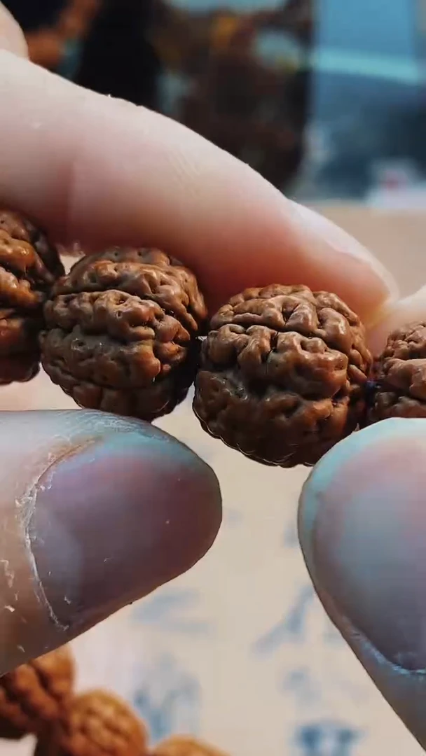 金刚菩提手串红皮五瓣碧根果