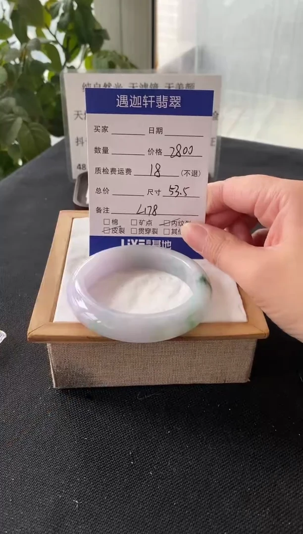 未镶嵌手镯翡翠53.8圈口 L178编码