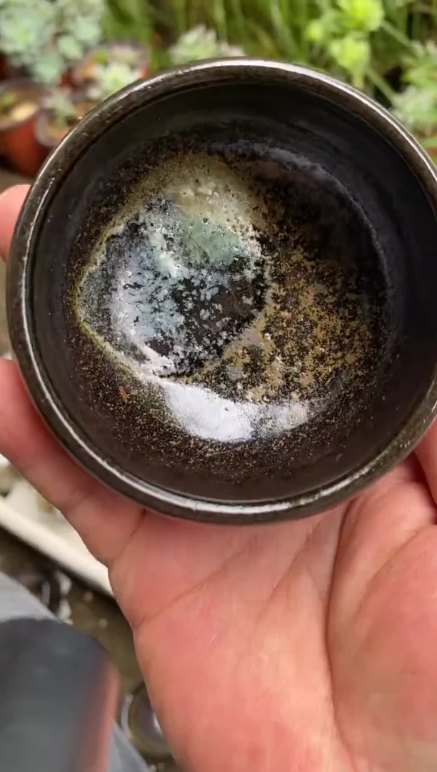浪鬼柴烧龙窑系列真**剑杯