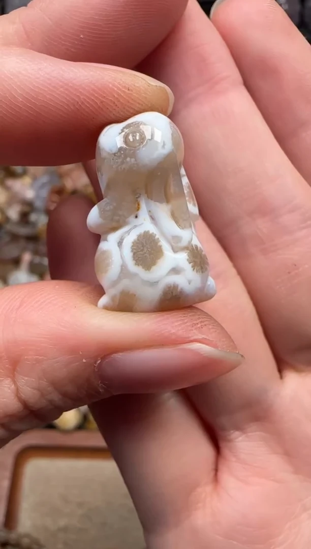 颈饰未镶嵌硅化珊瑚（珊瑚玉）119