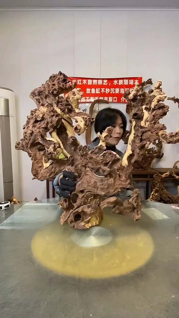 香榧木中*梦金丝红木 羊蹄甲