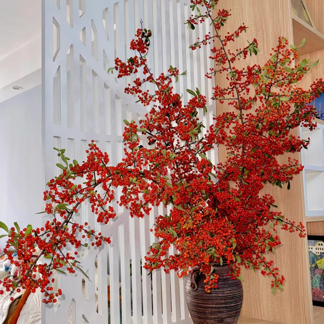 【火棘果】顺丰包邮 家有火棘 万事大吉