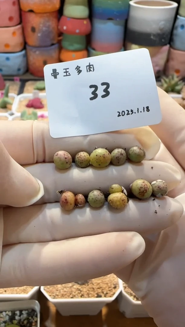 【闪购商品】25.1.18-33