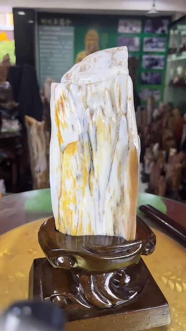 硅化玉珠宝奇石未镶嵌缅甸天然树化玉摆件