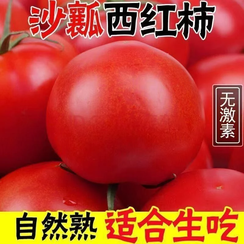 西红柿蔬菜番茄优品现摘自然熟酸汤果新鲜蔬菜薄皮爆浆
