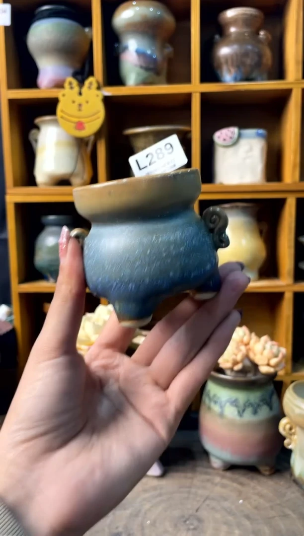 289内口5【多肉花盆多肉盆】