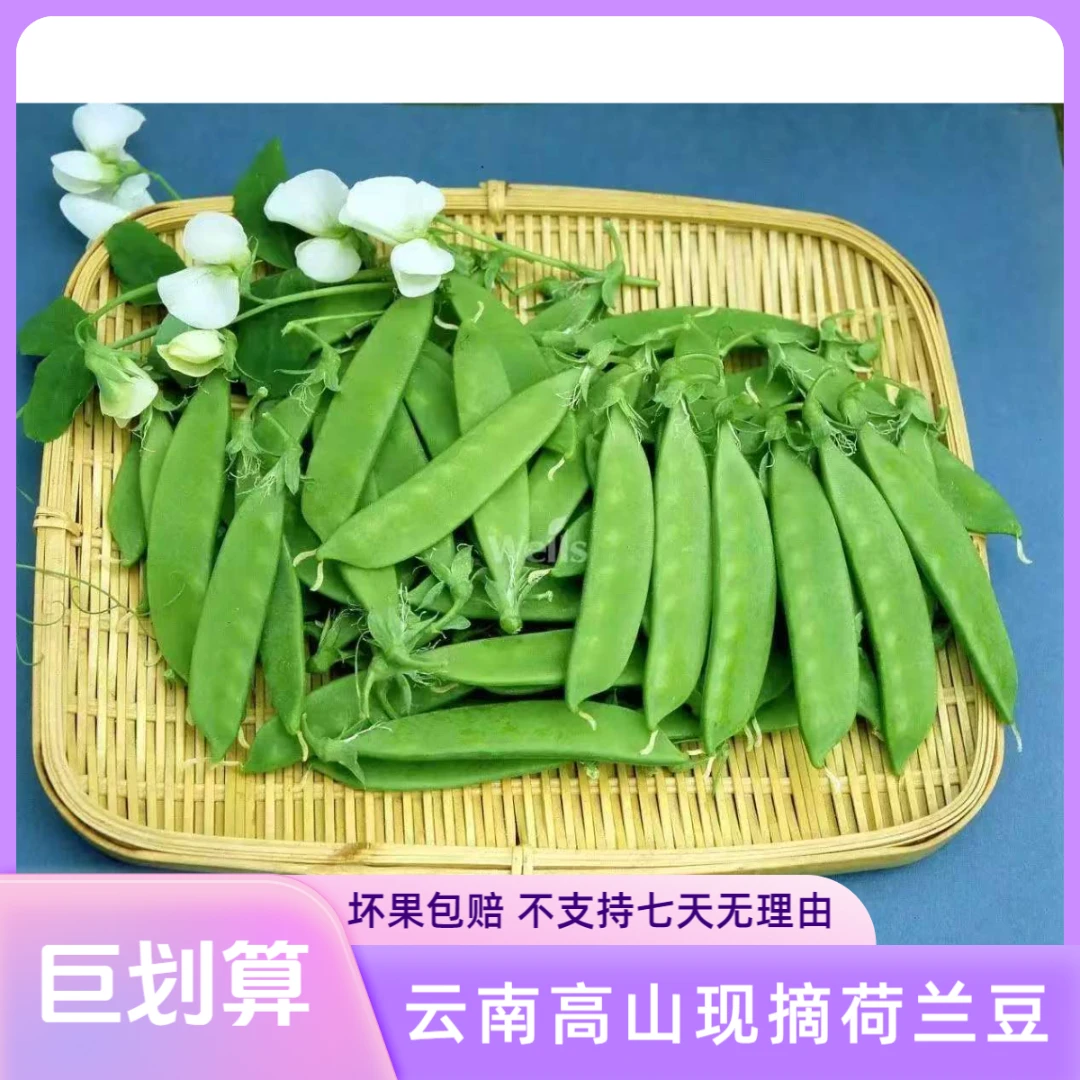 【加冰锁鲜】云南农家自种新鲜现摘脆甜荷兰豆产地直发