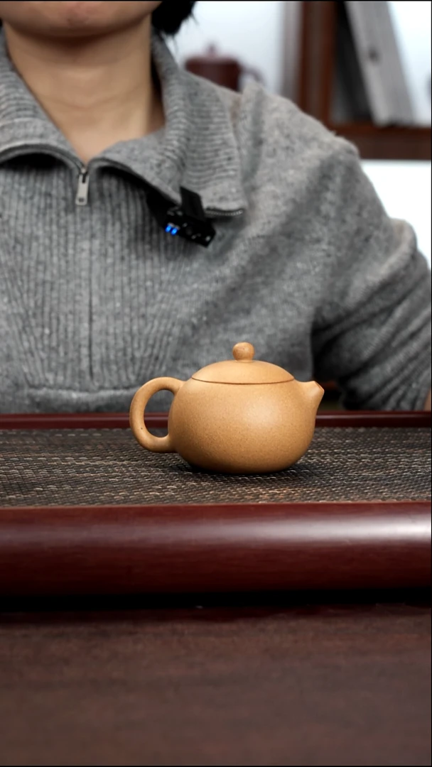 茶杯紫砂尾单黄金段西施