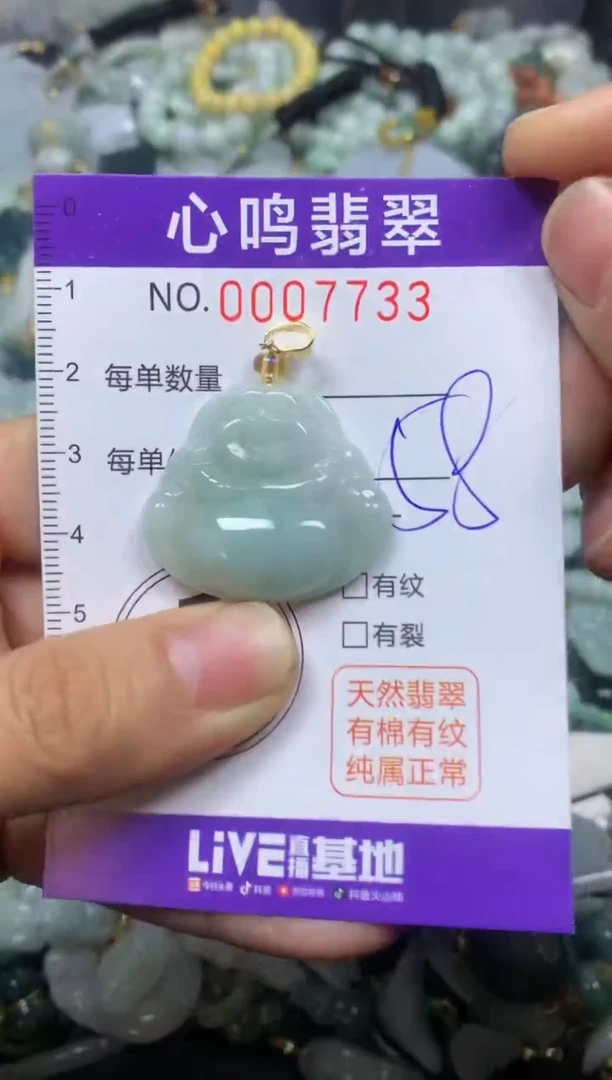 【闪购商品】翡翠颈饰未镶嵌闪购007733