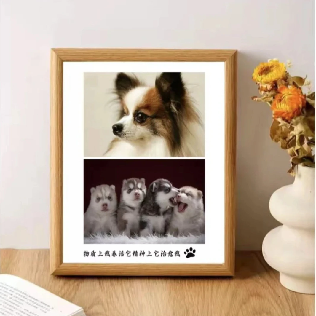 宠苑专属相册链接