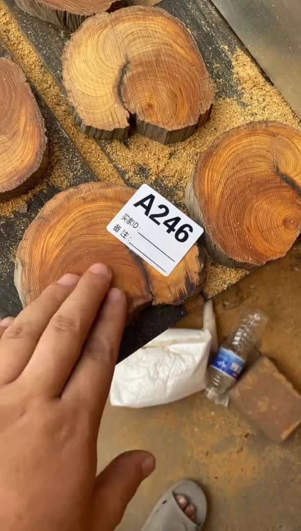 柏木太行山陈化崖柏切片一片