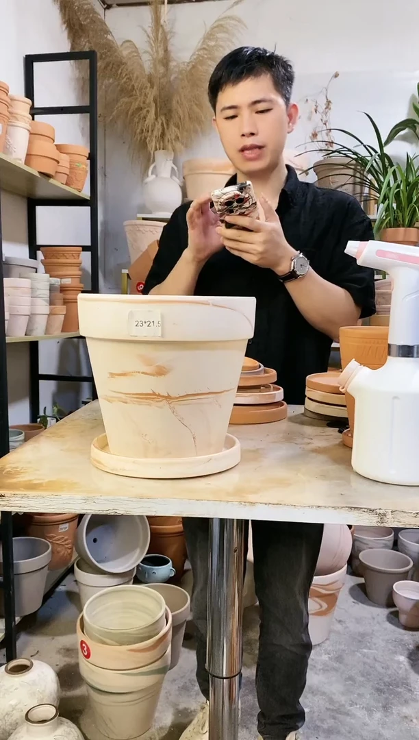 23*21玛奇朵 1盆1托