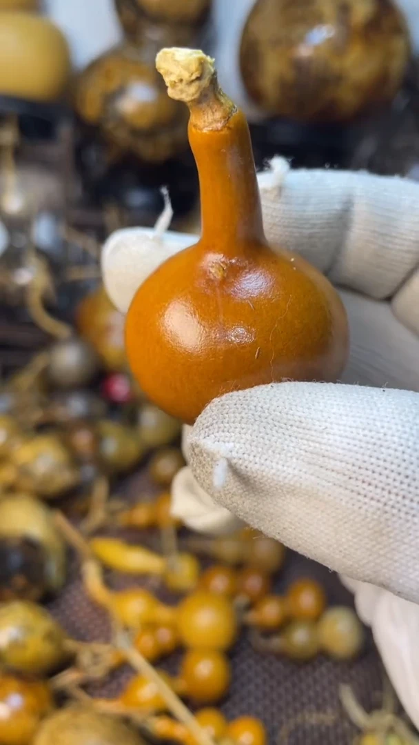 【闪购商品】葫芦葫芦葫芦葫芦