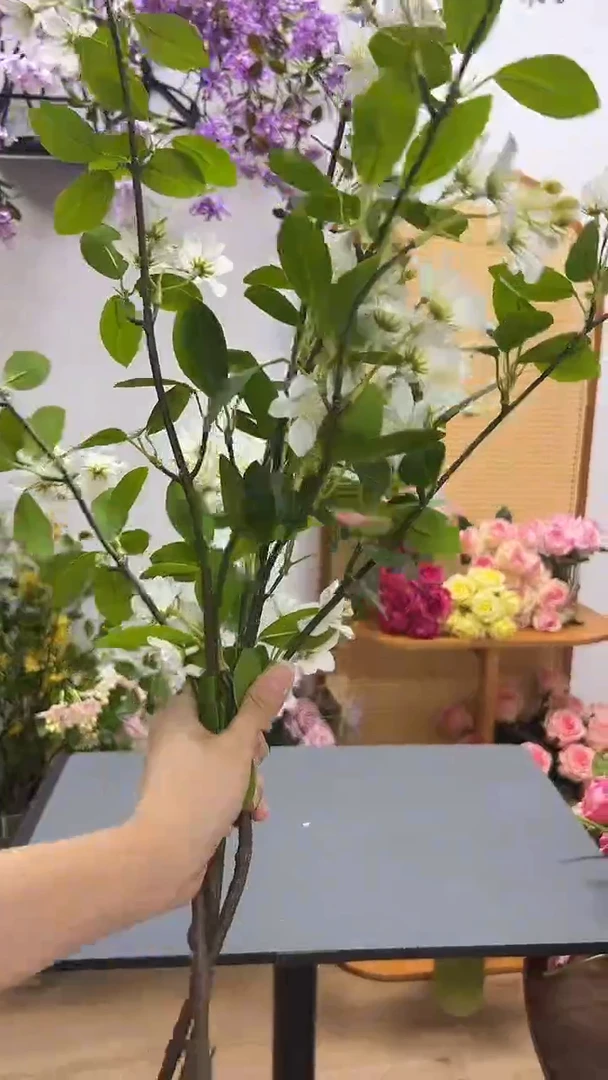 2枝白色月德贵人