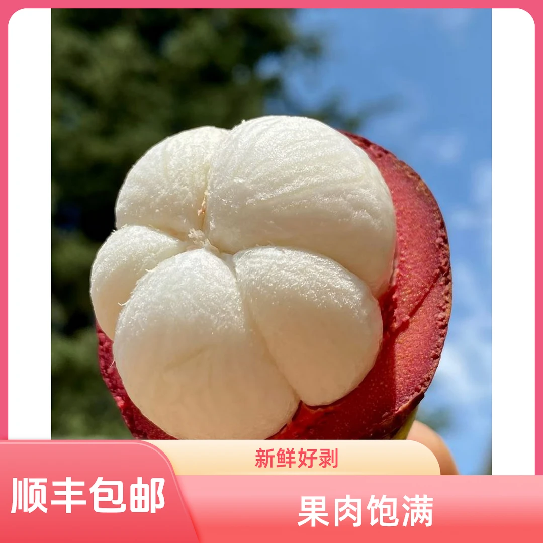 顺丰速运包邮泰国头茬山竹奶香浓郁果肉饱满