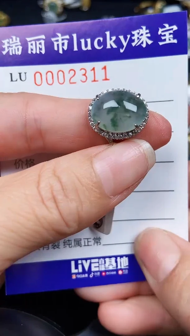 翡翠银S925镶嵌颈饰2311