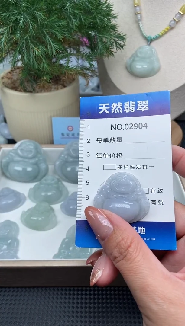 颈饰未镶嵌翡翠纯天然A货缅翡2904