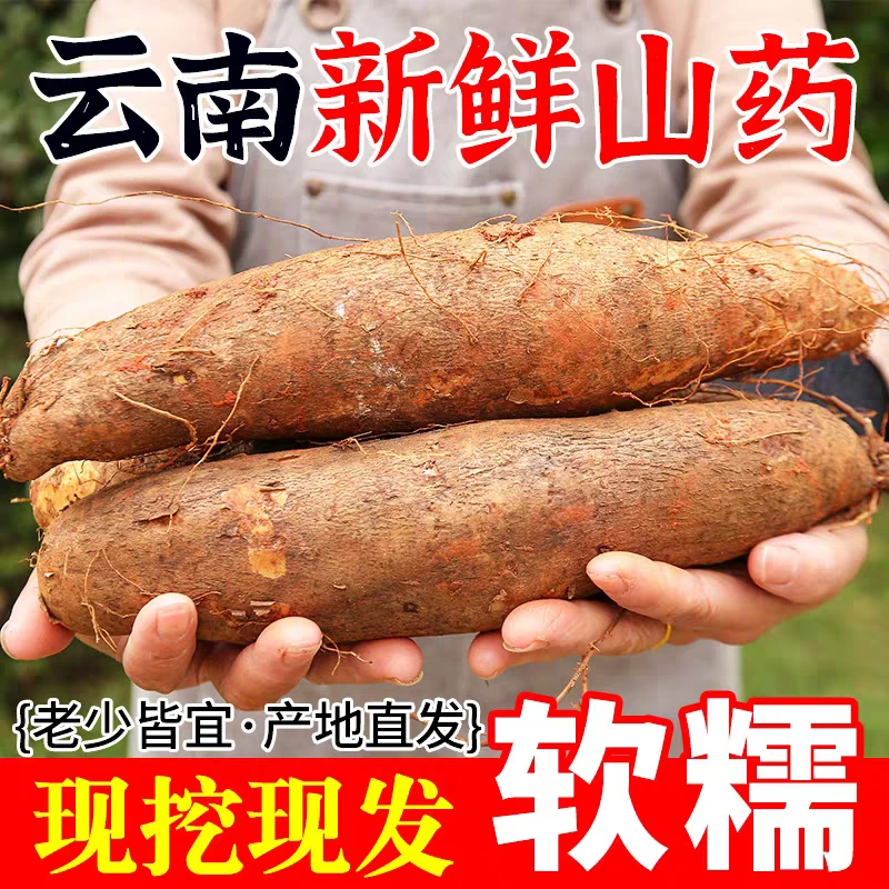 新鲜现挖云南灵芝山药粉糯可口非铁棍淮山