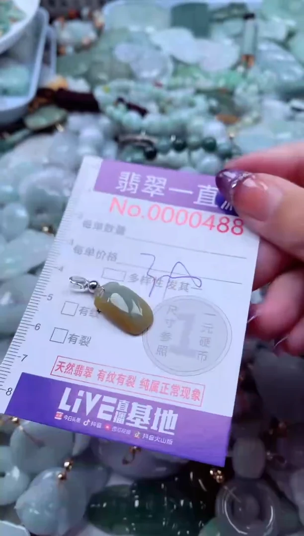 翡翠未镶嵌吊坠(不含链)488