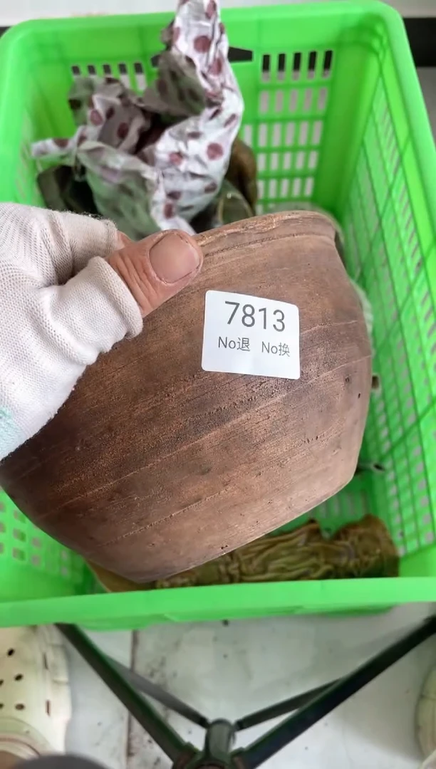 器蔬****?55667788202507177813
