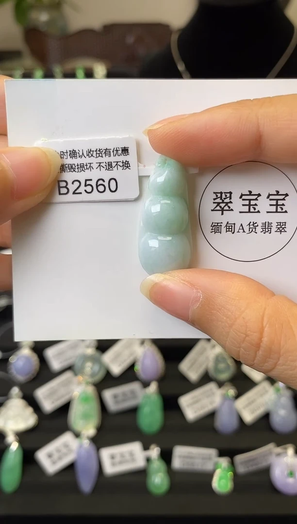 颈饰未镶嵌翡翠B2560 福豆 含运营费