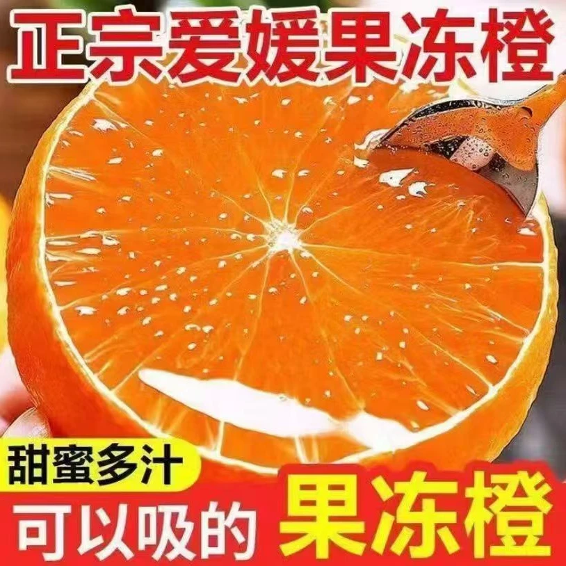 【次日达】11.11正宗四川爱媛38号果冻橙新鲜现摘应季爆甜全国多仓发货四川省