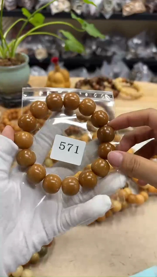 菩提根/象牙果手串18干磨微瑕（571）
