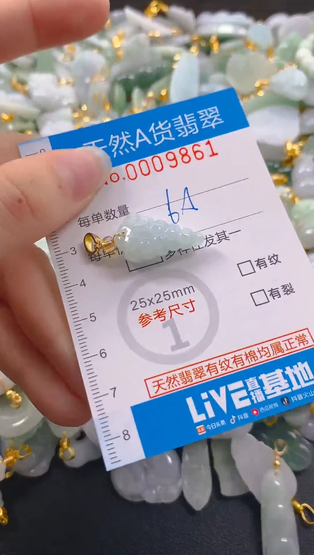 颈饰未镶嵌翡翠净货挂件-9861