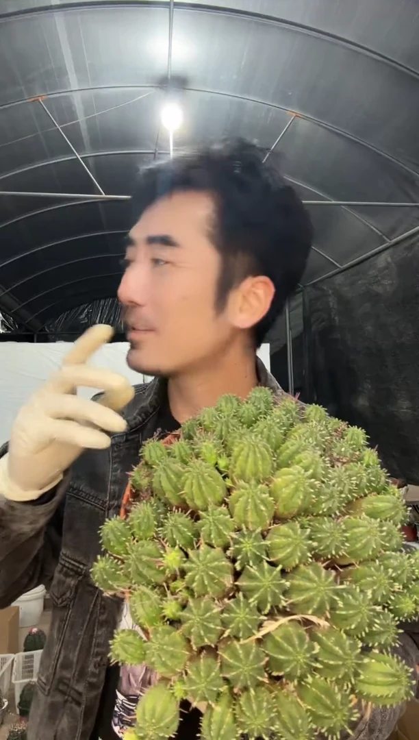 【闪购商品】11111111111111111111