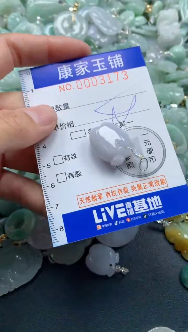 颈饰未镶嵌翡翠3173