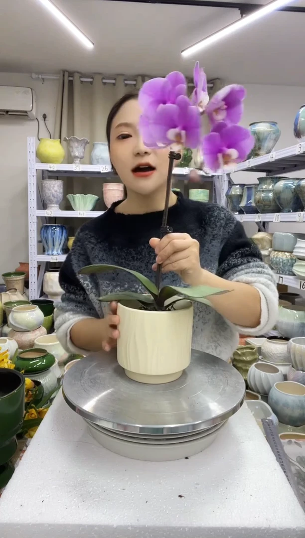 【12.23】花盆链接 高： 12 口：12