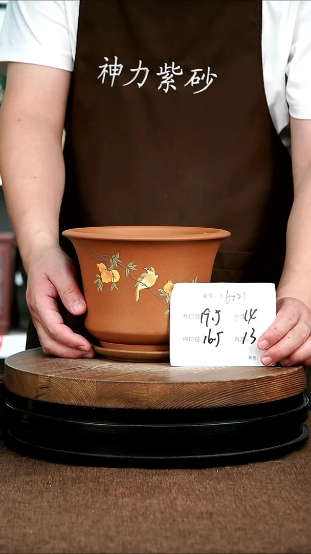 紫砂花盆花卉园艺6221+Z