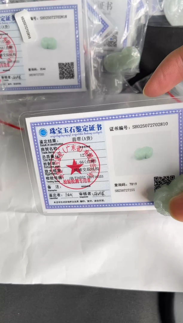 翡翠未镶嵌颈饰貔貅