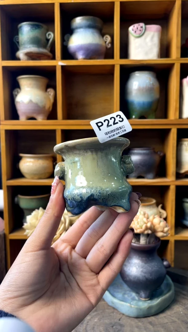 浅***念223【多肉花盆多肉盆】