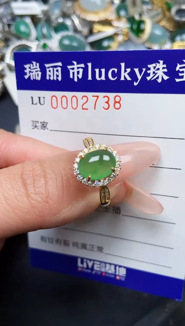 【闪购商品】翡翠颈饰银S925镶嵌2738