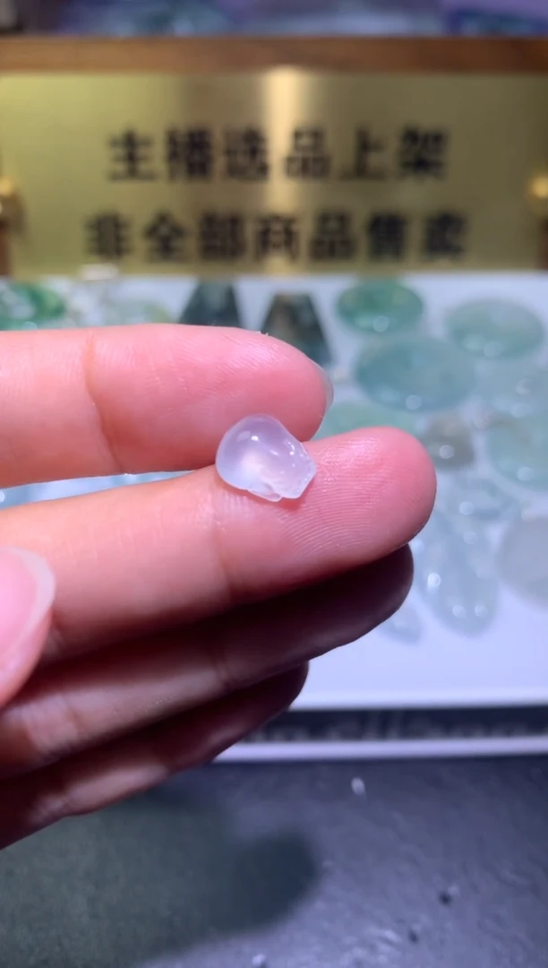 【闪购商品】翡翠颈饰未镶嵌净货