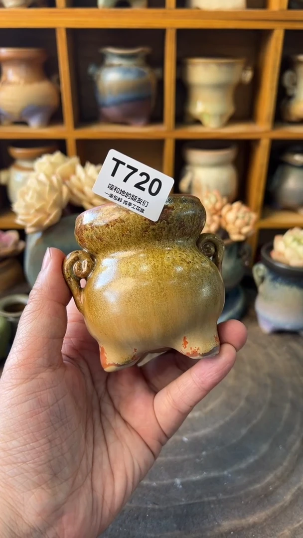 l**a720【多肉花盆多肉盆】