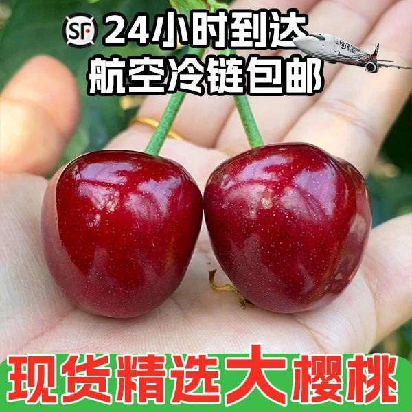 【高端果霸王】大烟台美早樱桃7J现摘现发脆甜多汁顺丰空运高品质2商品图
