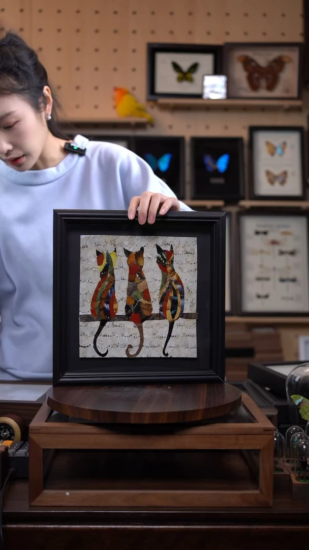 蝴蝶翅膀蝶翅画竞拍e29