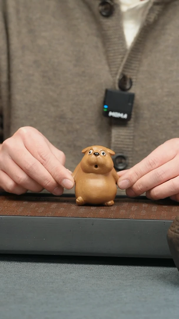 【闪购商品】茶宠茶宠-目瞪狗呆-大