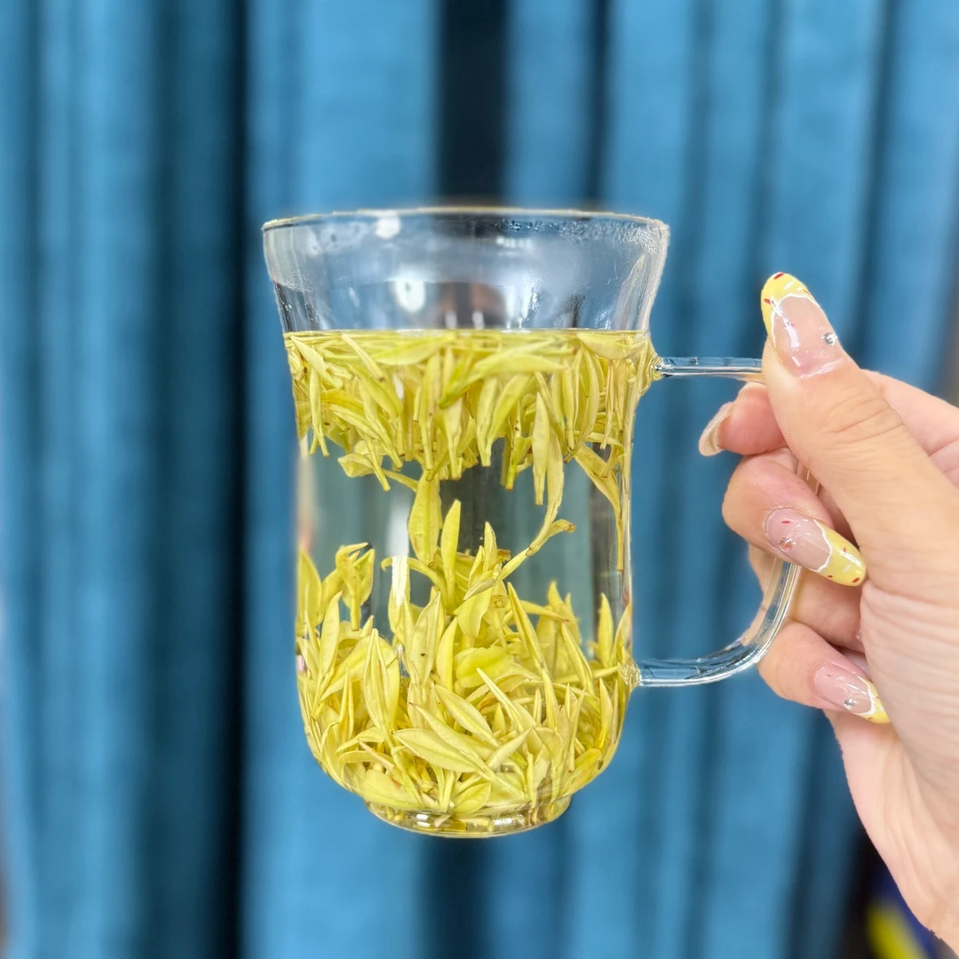 【双十二专款奶伯】2025年皇金芽正宗安吉溪龙原产地发货