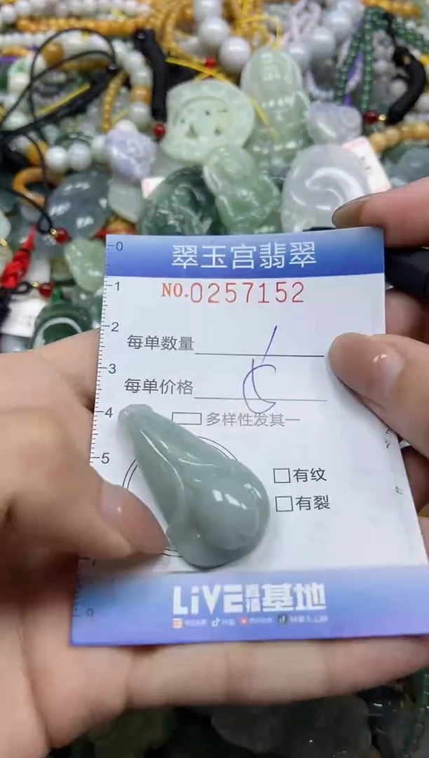 颈饰未镶嵌翡翠闪购C0257152