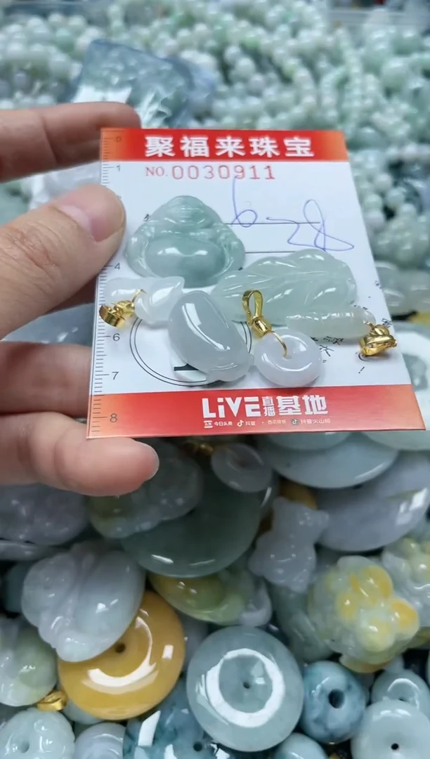 【闪购商品】翡翠颈饰未镶嵌闪购0030911