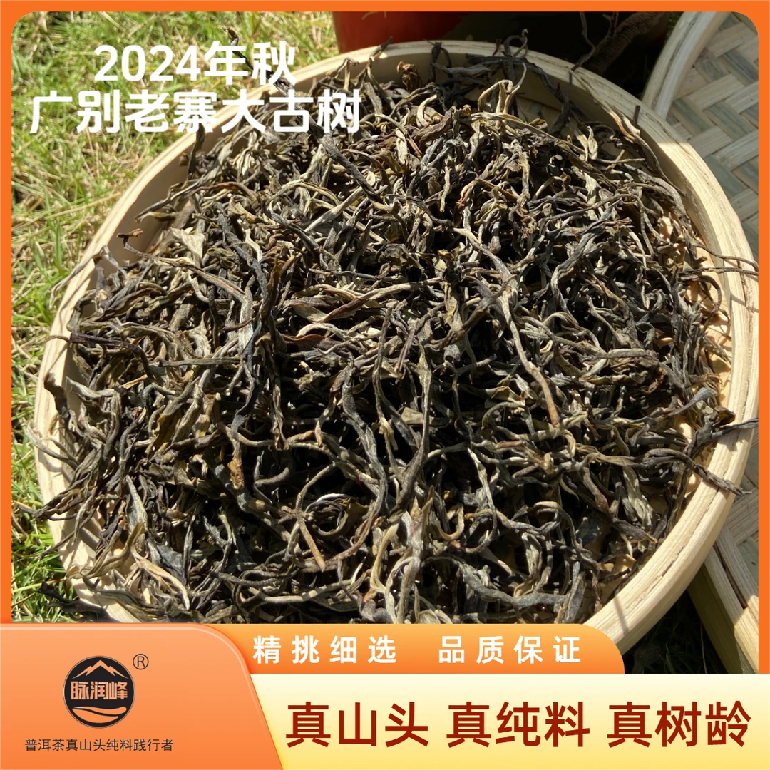 脉润峰【峰哥保真】广别老寨大古树 300年左右纯料 24年秋普洱生茶