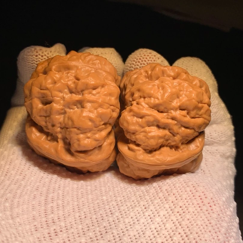 怀柔老蒋蛤蟆头（深清x）好